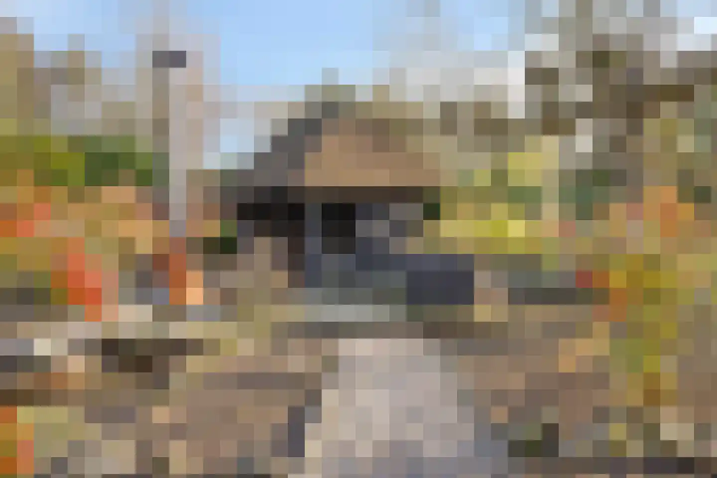 Lijsterlaan 6 Best thumbnail 55