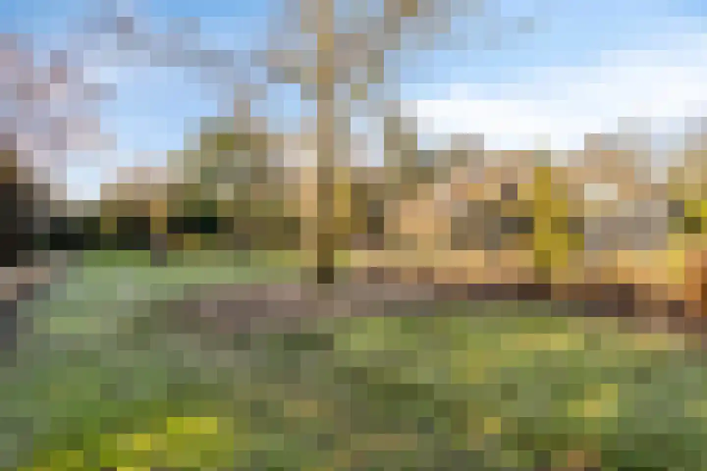 Lijsterlaan 6 Best thumbnail 57