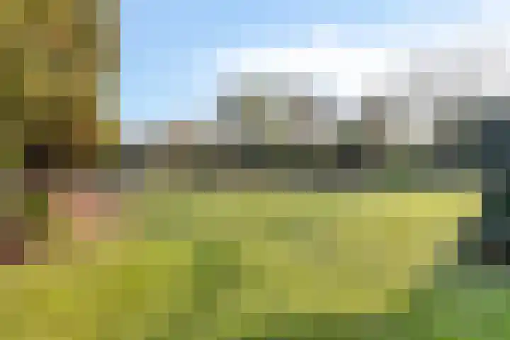 Lijsterlaan 6 Best thumbnail 58