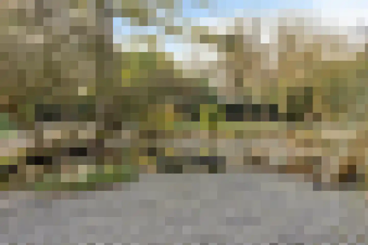 Lijsterlaan 6 Best thumbnail 60