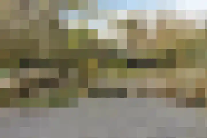 Lijsterlaan 6 Best thumbnail 60
