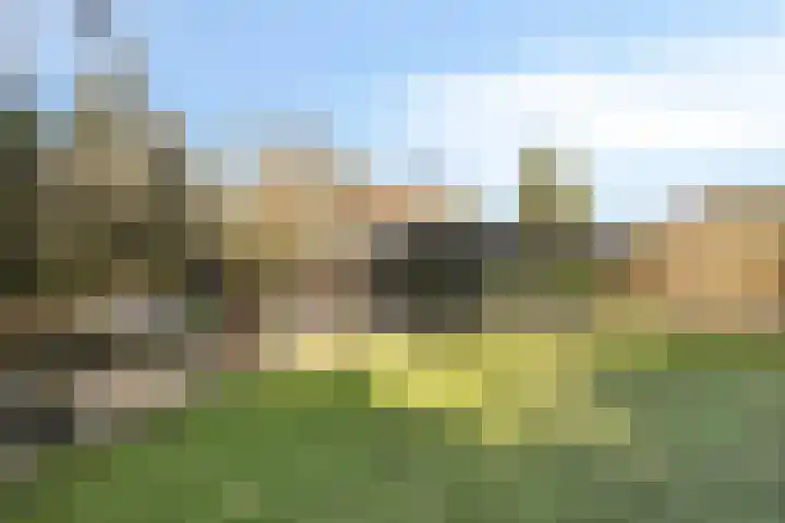 Lijsterlaan 6 Best thumbnail 62