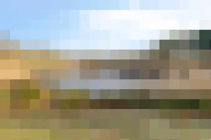 Lijsterlaan 6 Best thumbnail 66