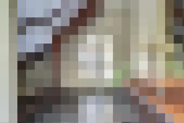 Lijsterlaan 6 Dongen thumbnail 14