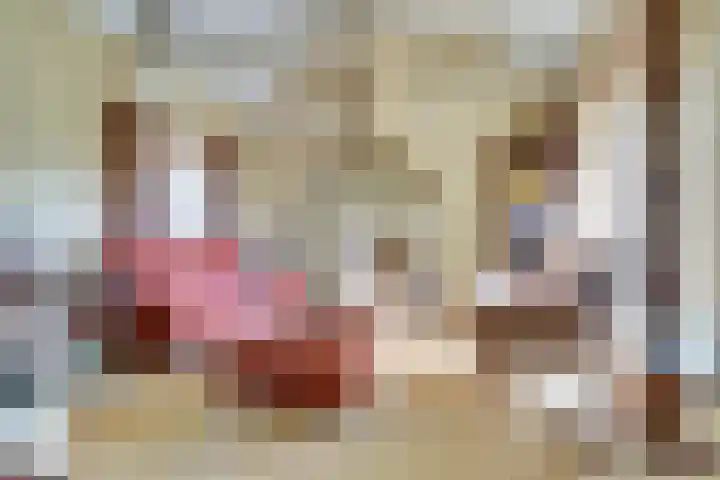 Lijsterlaan 6 Dongen thumbnail 16