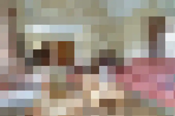 Lijsterlaan 6 Dongen thumbnail 19