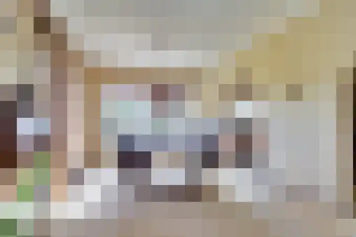 Lijsterlaan 6 Dongen thumbnail 22