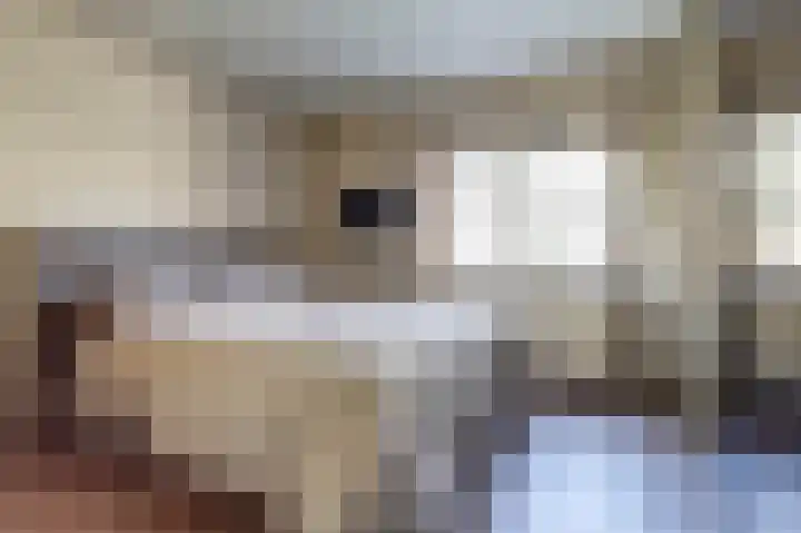 Lijsterlaan 6 Dongen thumbnail 27