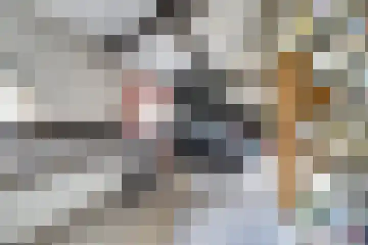 Lijsterlaan 6 Dongen thumbnail 33