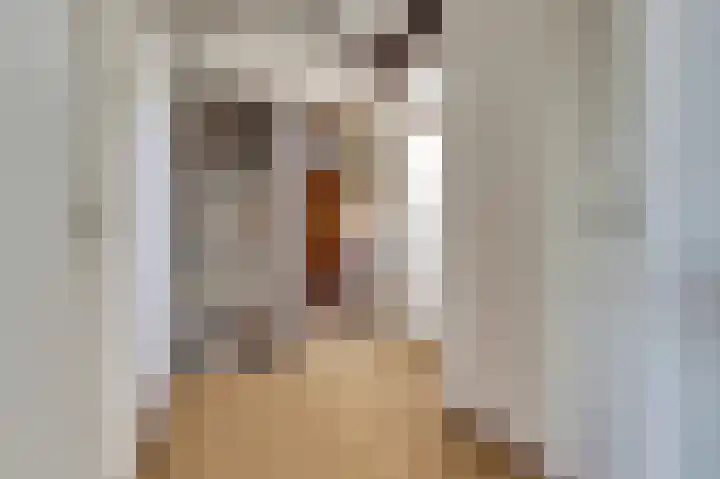 Lijsterlaan 6 Dongen thumbnail 35
