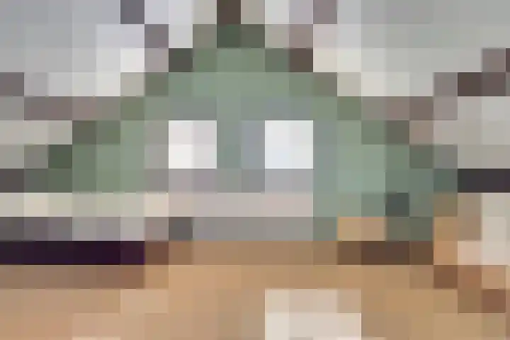 Lijsterlaan 6 Dongen thumbnail 42