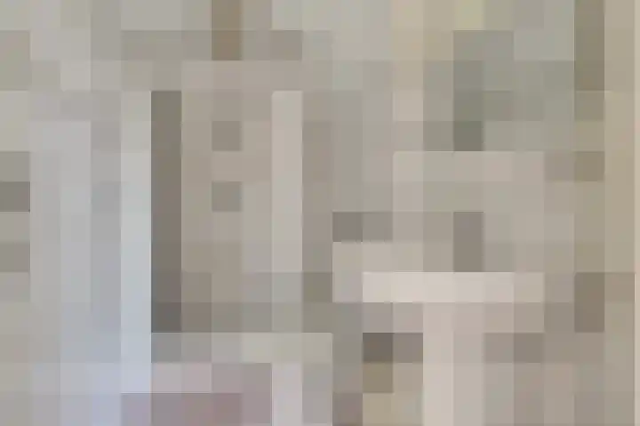 Lijsterlaan 6 Dongen thumbnail 45