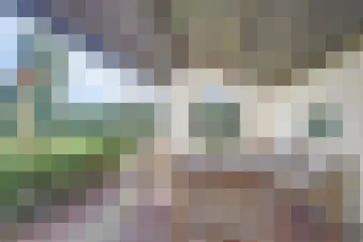 Lijsterlaan 6 Dongen thumbnail 46