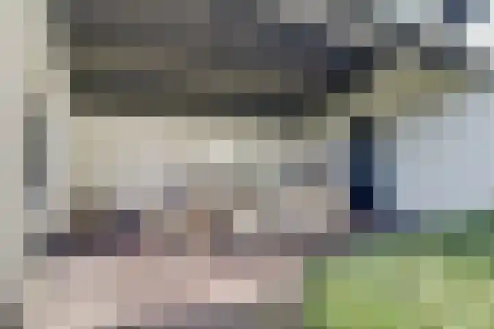 Lijsterlaan 6 Dongen thumbnail 48