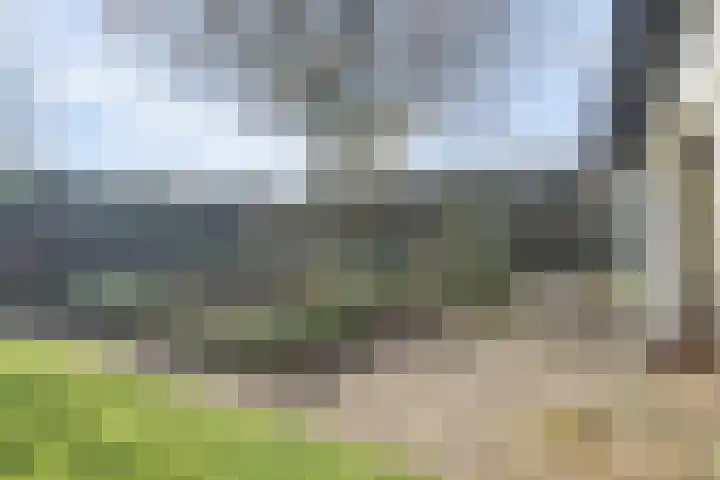Lijsterlaan 6 Dongen thumbnail 49