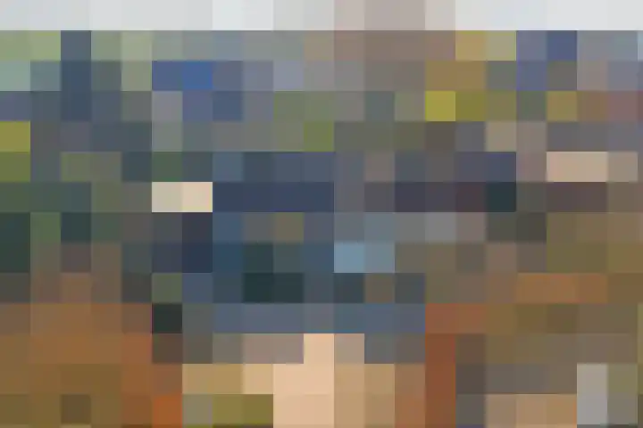 Lijsterlaan 6 Dongen thumbnail 5