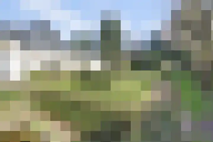 Lijsterlaan 6 Dongen thumbnail 51