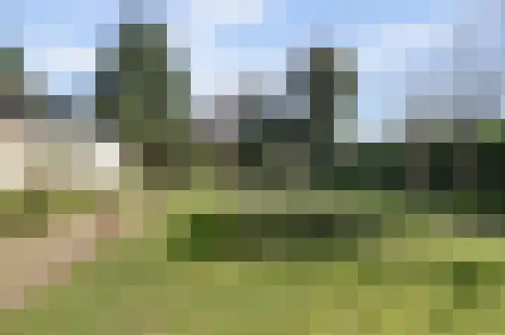 Lijsterlaan 6 Dongen thumbnail 52