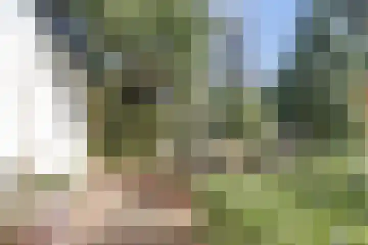 Lijsterlaan 6 Dongen thumbnail 54