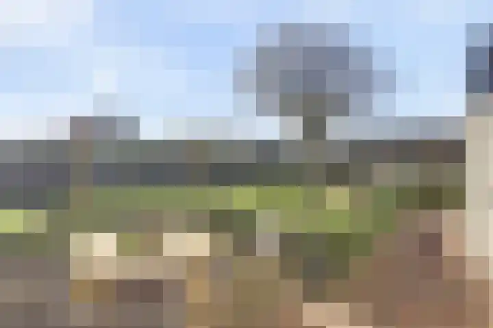 Lijsterlaan 6 Dongen thumbnail 55