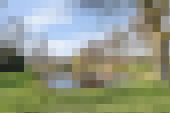 Lijsterlaan 6 Dongen thumbnail 57