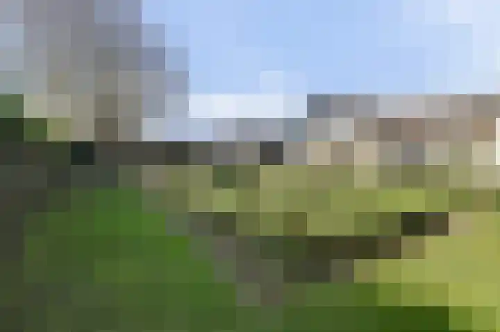 Lijsterlaan 6 Dongen thumbnail 59