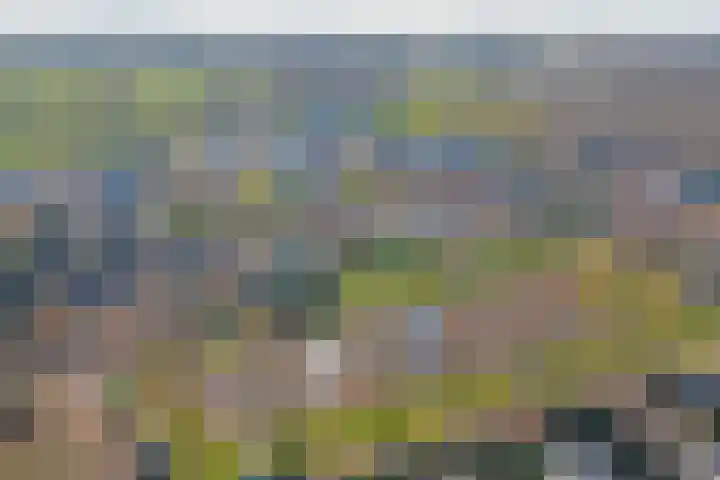 Lijsterlaan 6 Dongen thumbnail 6