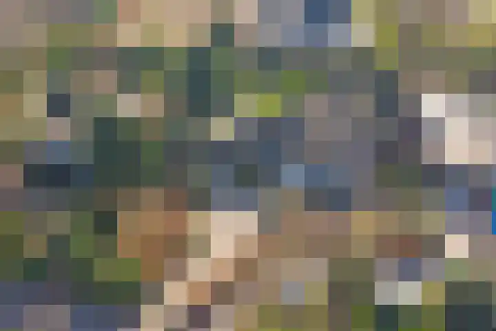 Lijsterlaan 6 Dongen thumbnail 60