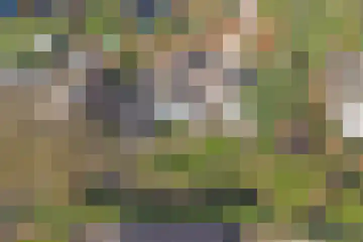Lijsterlaan 6 Dongen thumbnail 61