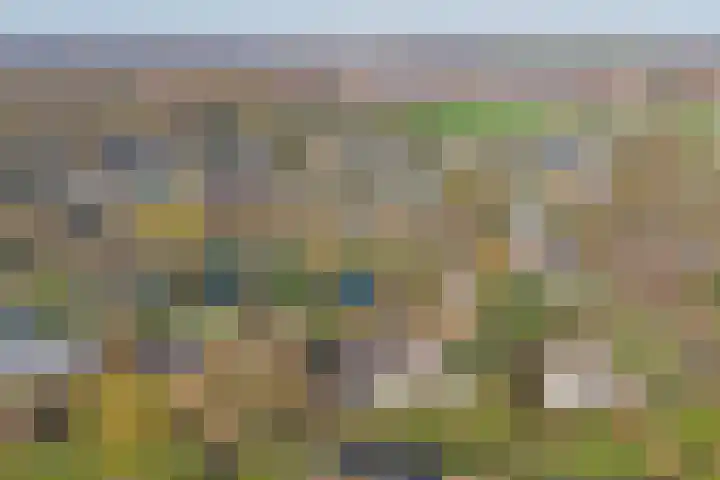 Lijsterlaan 6 Dongen thumbnail 62