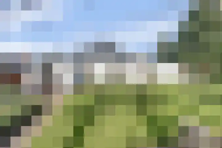 Lijsterlaan 6 Dongen thumbnail 9