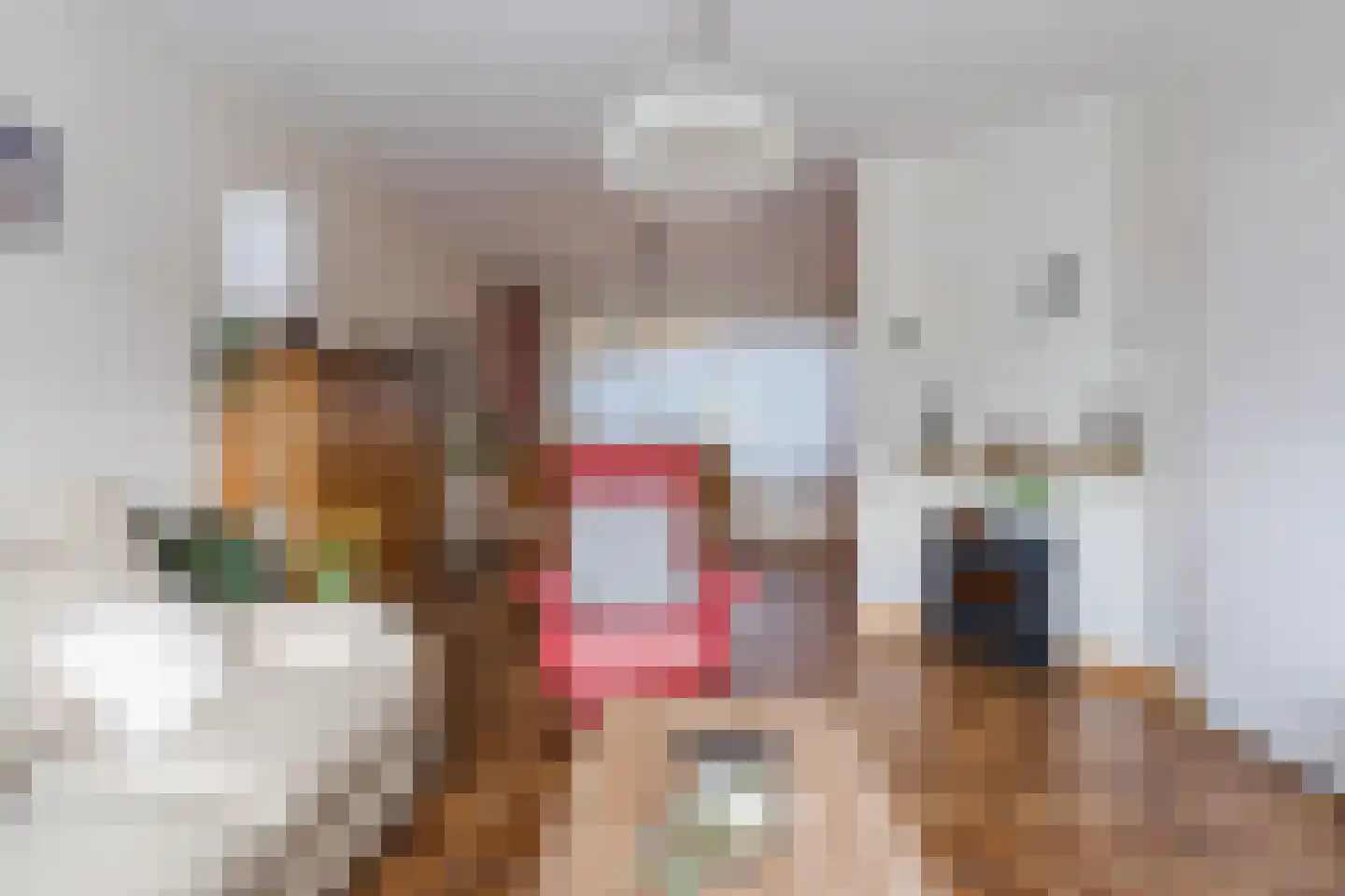 Lijsterlaan 6 Nieuwleusen thumbnail 10
