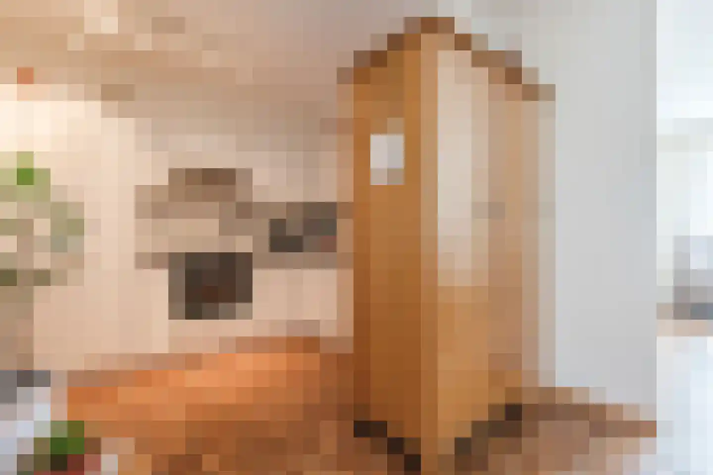 Lijsterlaan 6 Nieuwleusen thumbnail 11