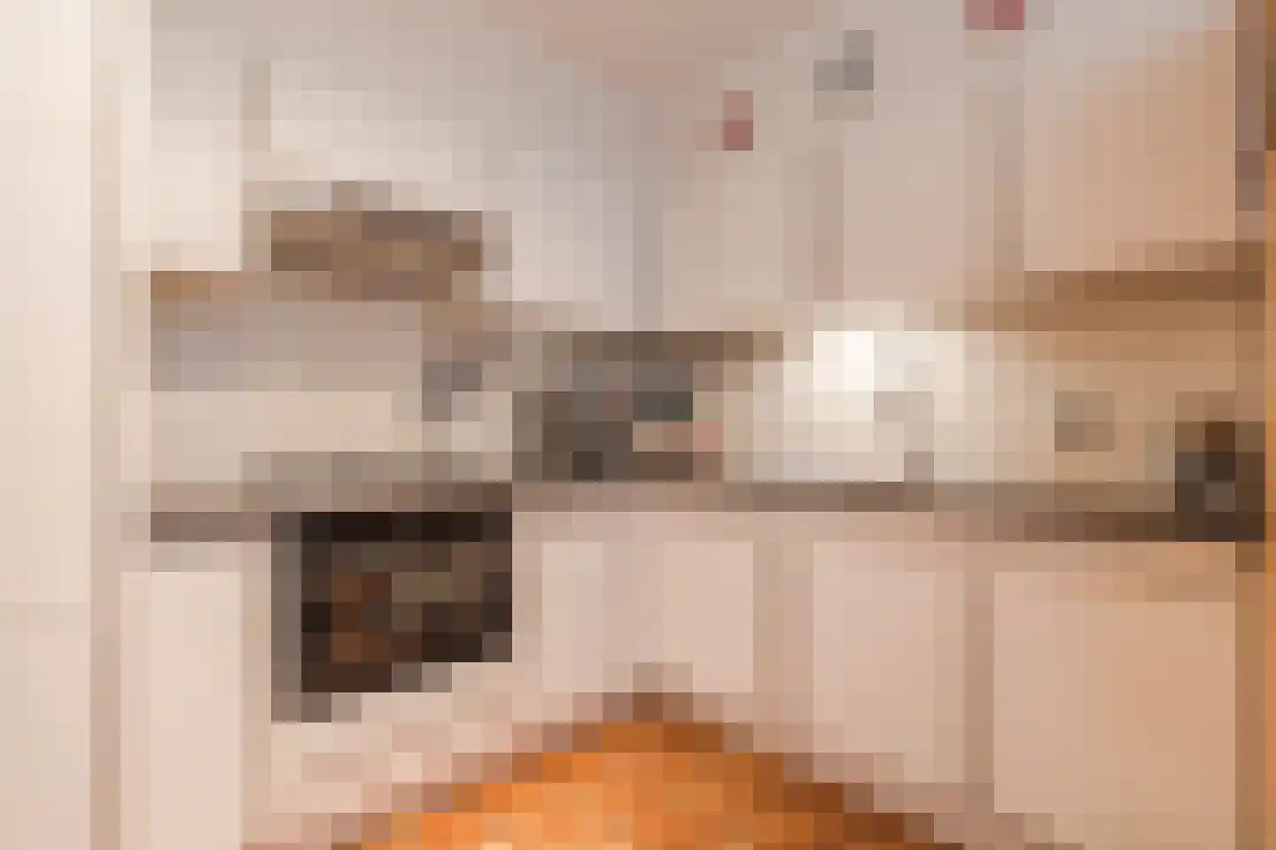 Lijsterlaan 6 Nieuwleusen thumbnail 12