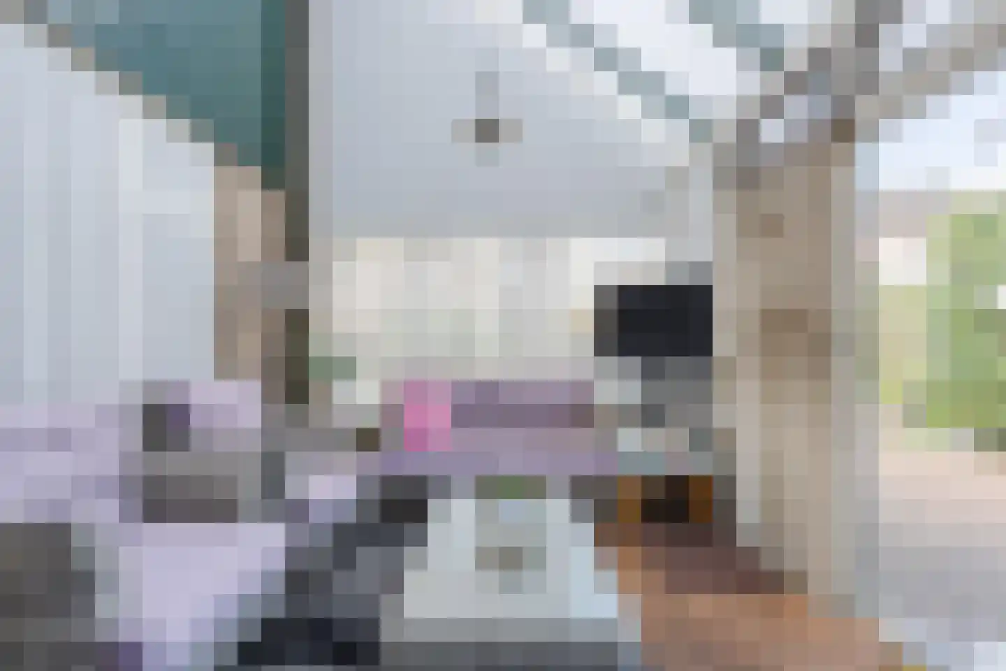 Lijsterlaan 6 Nieuwleusen thumbnail 15