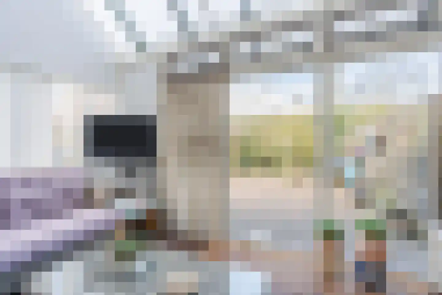 Lijsterlaan 6 Nieuwleusen thumbnail 16