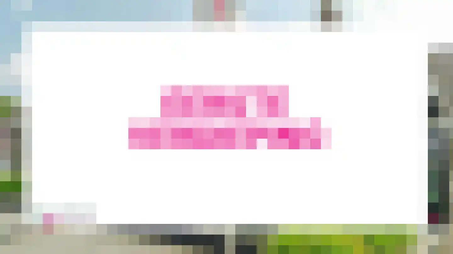 Lijsterlaan 6 Nieuwleusen thumbnail 20
