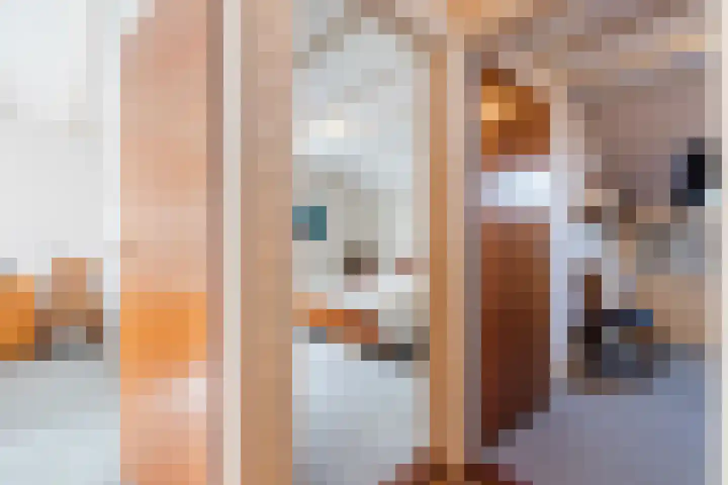 Lijsterlaan 6 Nieuwleusen thumbnail 21