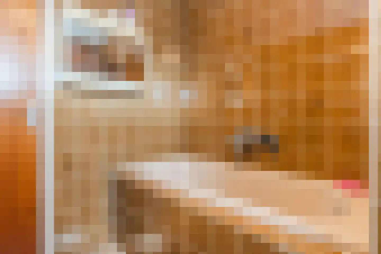 Lijsterlaan 6 Nieuwleusen thumbnail 25