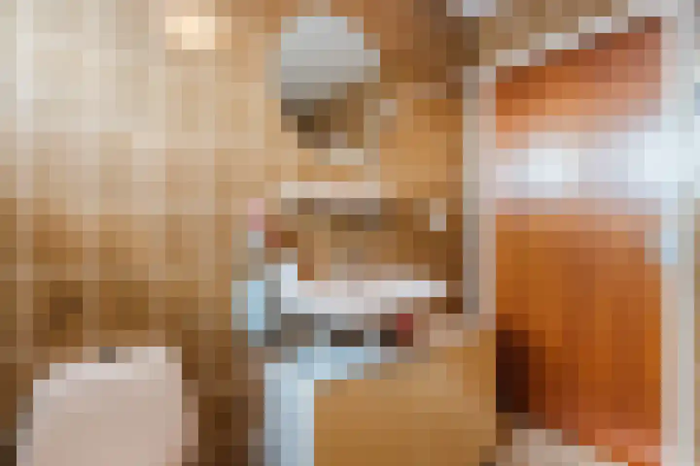 Lijsterlaan 6 Nieuwleusen thumbnail 26