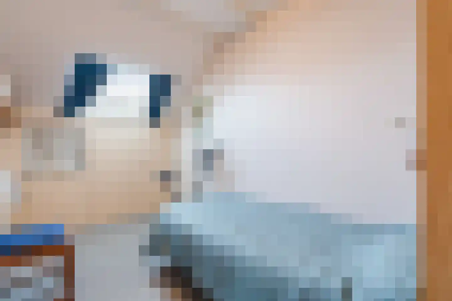 Lijsterlaan 6 Nieuwleusen thumbnail 29