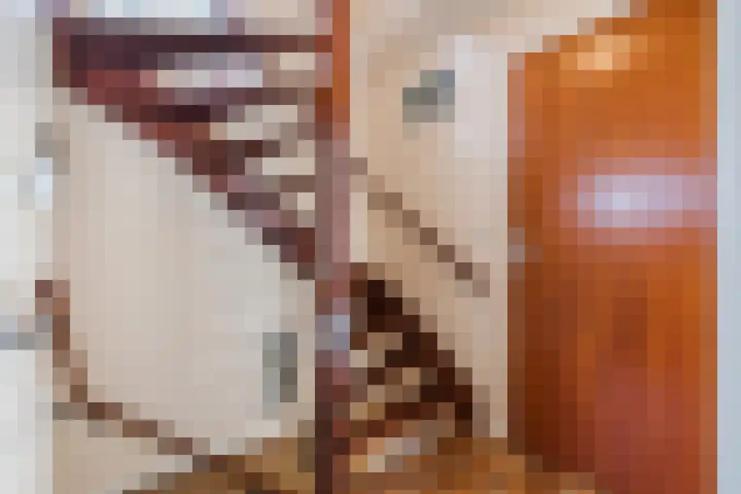 Lijsterlaan 6 Nieuwleusen thumbnail 32