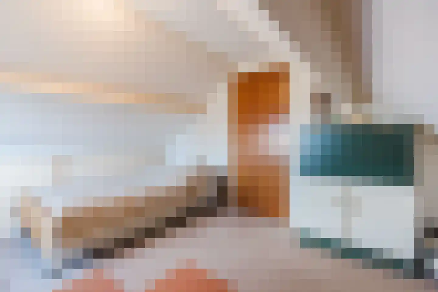 Lijsterlaan 6 Nieuwleusen thumbnail 35