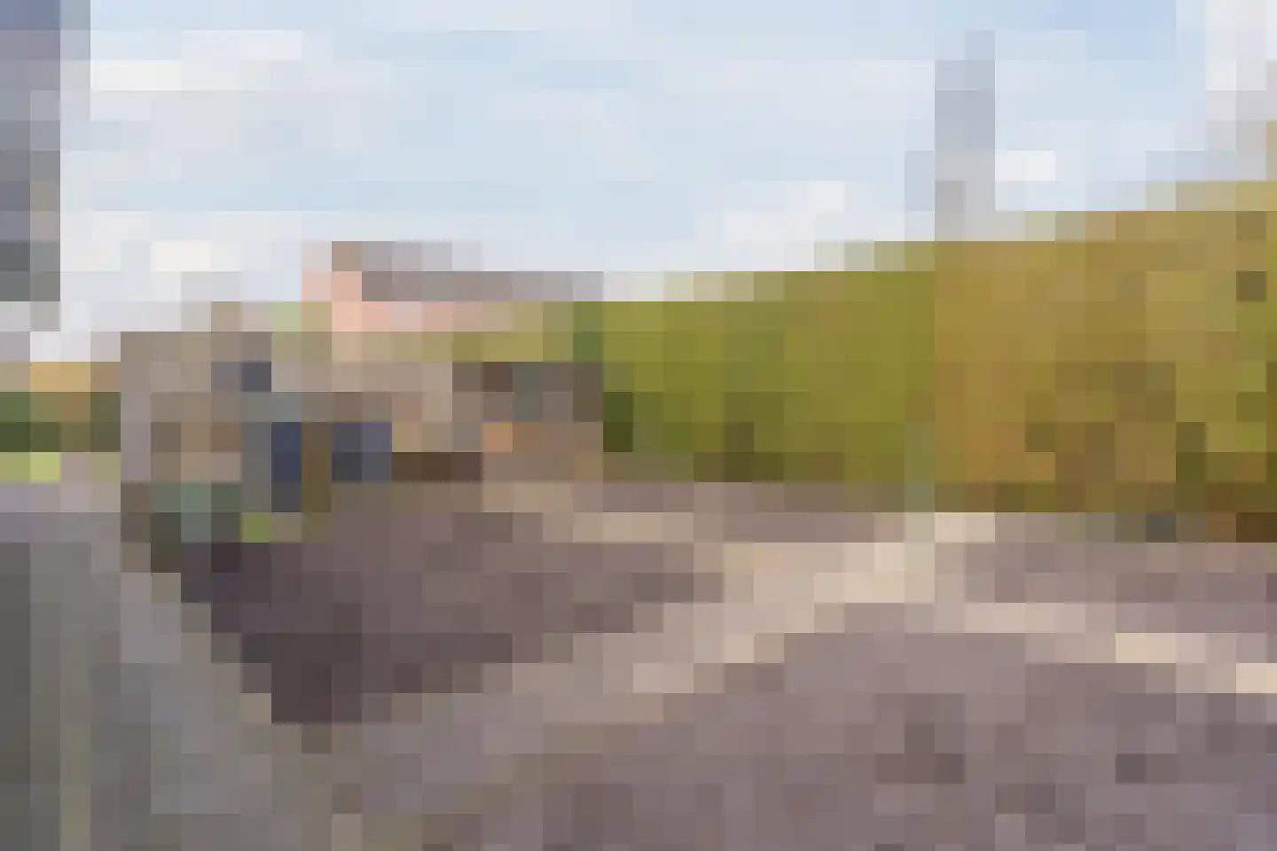 Lijsterlaan 6 Nieuwleusen thumbnail 41