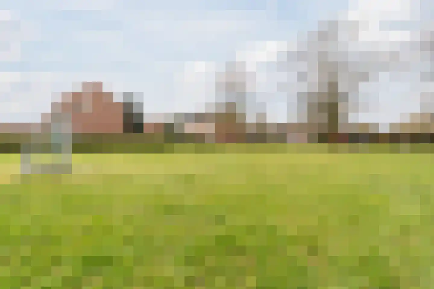 Lijsterlaan 6 Nieuwleusen thumbnail 45