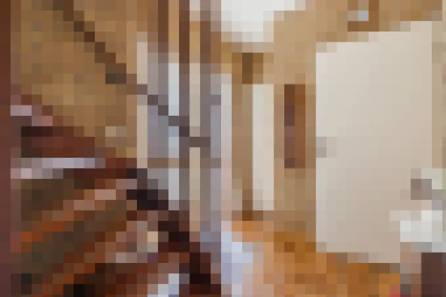 Lijsterlaan 6 Nieuwleusen thumbnail 6