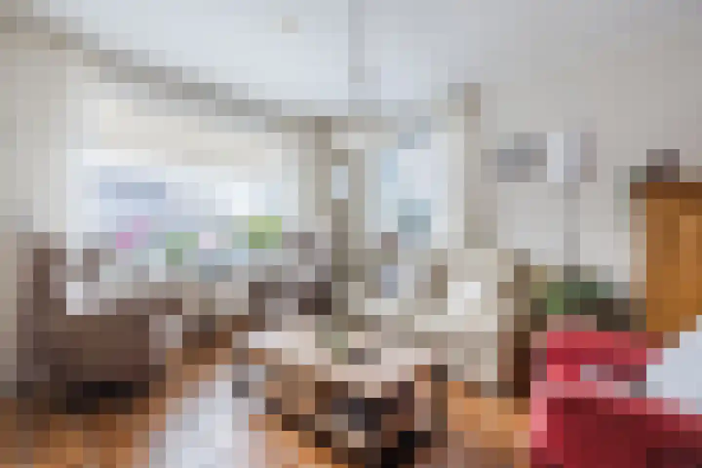 Lijsterlaan 6 Nieuwleusen thumbnail 8