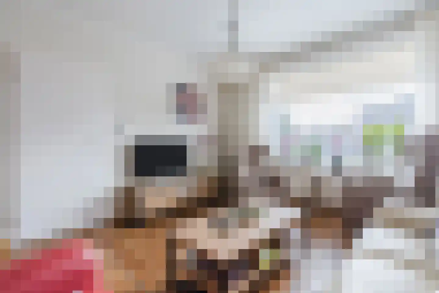 Lijsterlaan 6 Nieuwleusen thumbnail 9