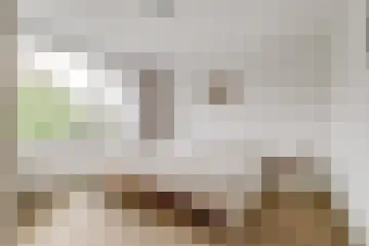 Lijsterlaan 63 Ermelo thumbnail 22