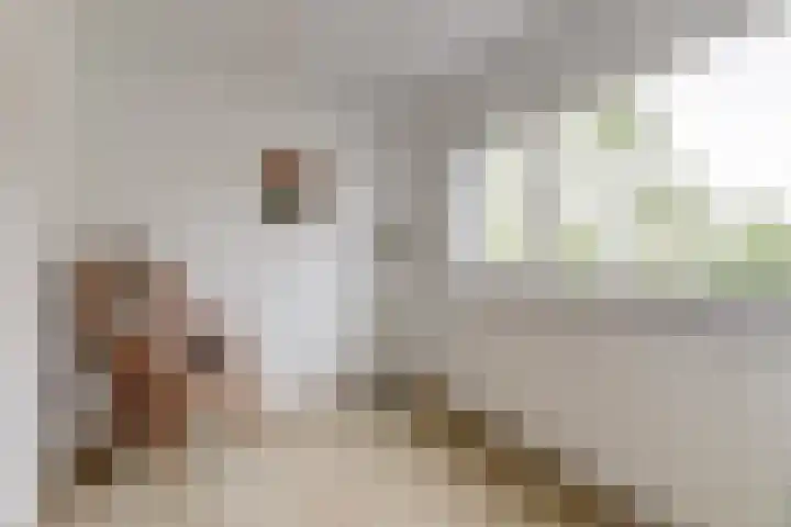 Lijsterlaan 63 Ermelo thumbnail 27
